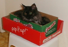 box2