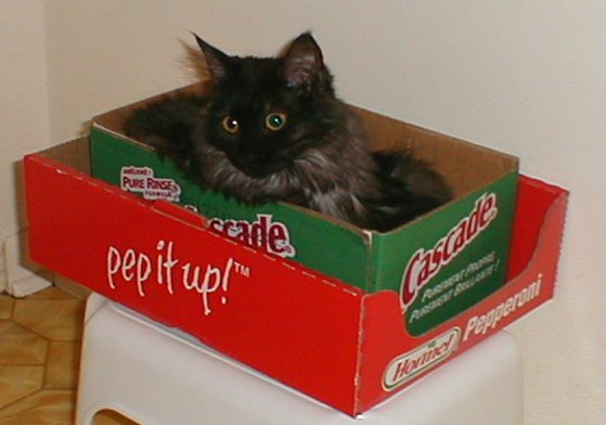 box2