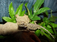 Nice looking baby