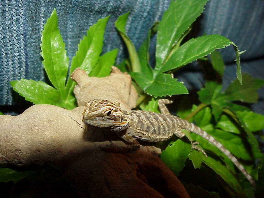 Nice looking baby