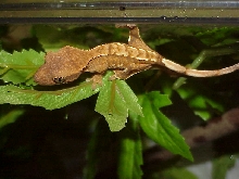Pic of our new wee one