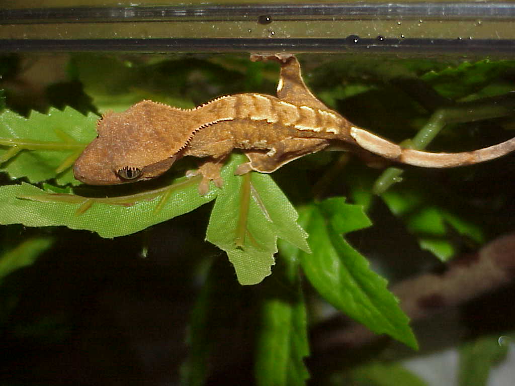 Pic of our new wee one