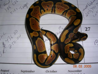 my granite female