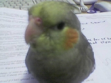 George