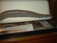 Limburg Albino Het gravid?