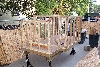 Dog House