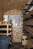 Rat shed Rear