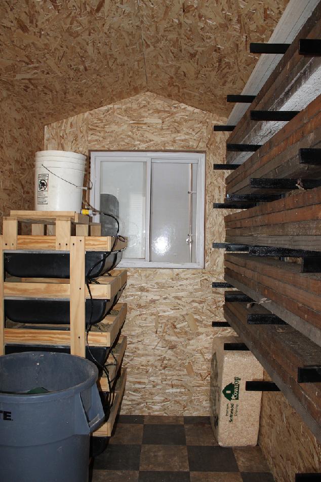 Rat shed Rear
