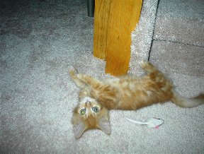 Kellie and her mouse
