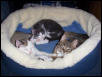 Ahhhhhh! Love our bed!