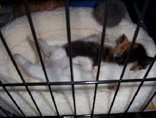 Tiffany's sleepy