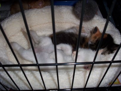 Tiffany's sleepy