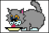 milk kitty .gif
