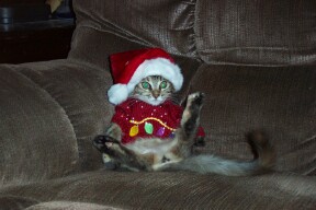 Ho-Gimme-A-Break-Ho