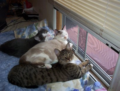 The Three