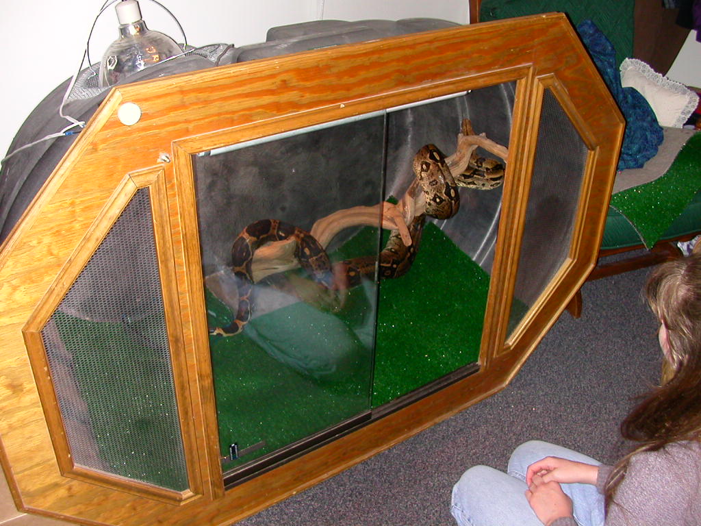 the viv