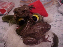 Beady and LadyBella- Merry Christmas!