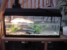 Tank FS
