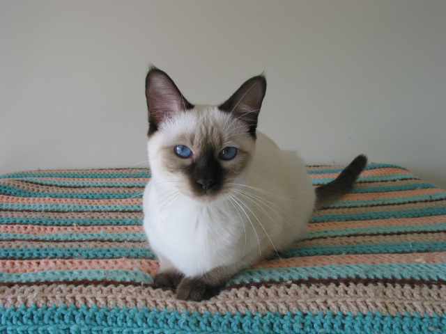 Posing for the camera