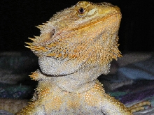 one