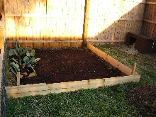 Garden Area