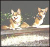 My Two Guys, Ty & Eddie