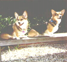 My Two Guys, Ty & Eddie