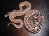 pewter gstripe 3