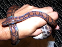 More pics