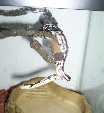 Just hanging around 2