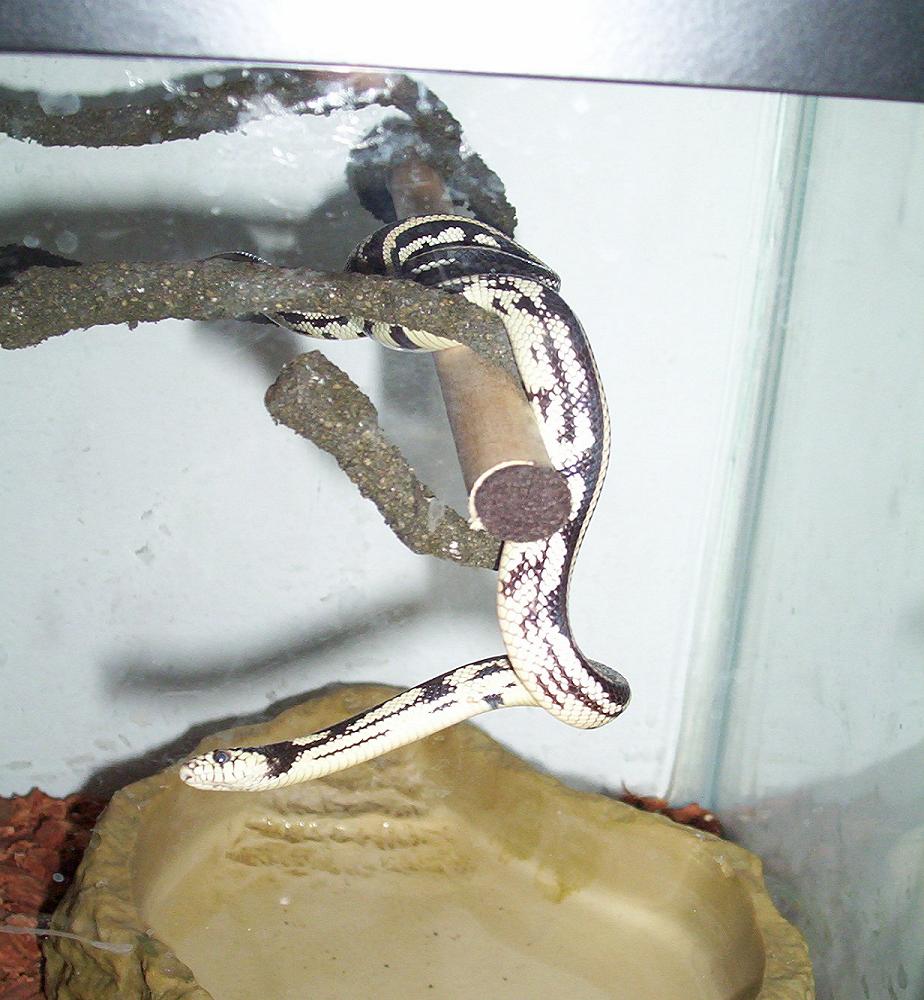 Just hanging around 2