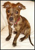 Soma. She's, like, HUGE, now. A dinosaur!