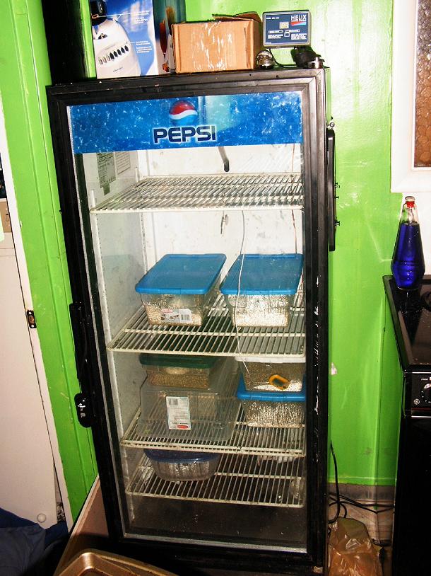 front view fridge incubator
