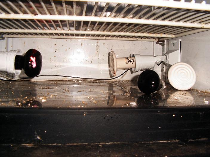 heating for home made fridge incubator