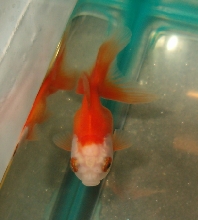 give me a name?!