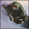 Flying Turtle