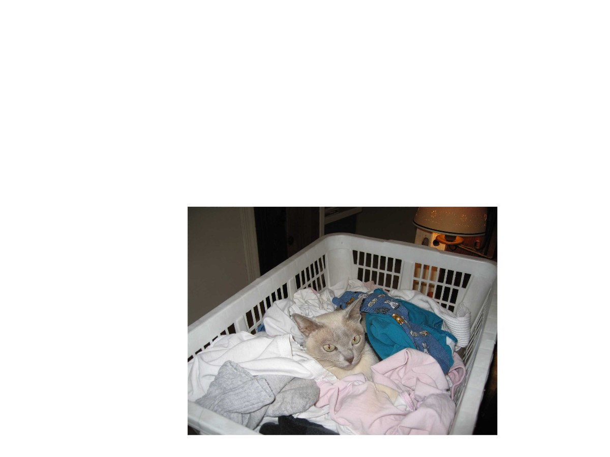 Eddie helping with the laundry
