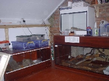 reptile loft 3