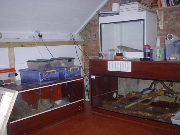 reptile loft 3
