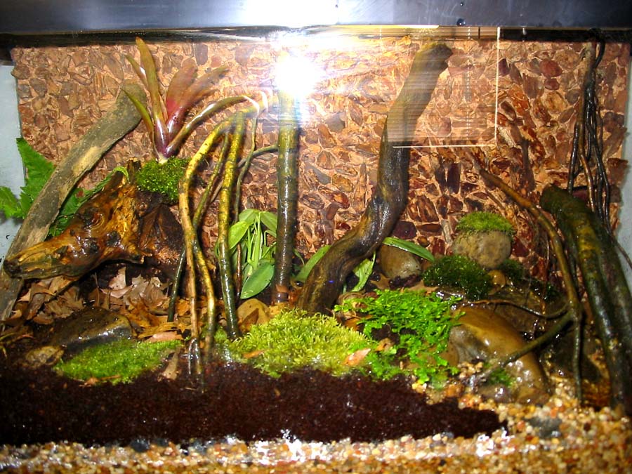 Whole Tank
