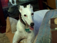 The lovely Miss Bea