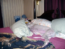 Bea napping