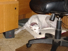 Bea's favorite place