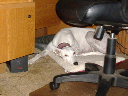 Bea's favorite place