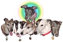 Bristerhounds-2