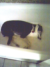 Katie in bathtub