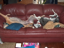 Lexie & Katie roaching together