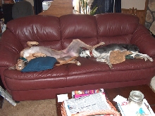 Lexie & Katie sharing