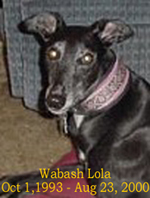 Lola