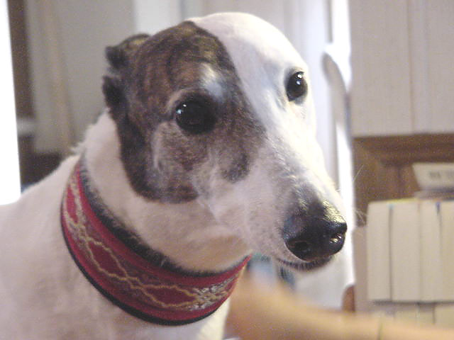 Max